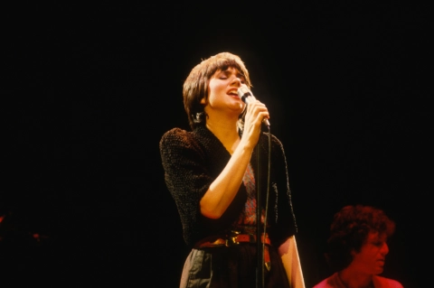 Linda Ronstadt Vintage Concert Photo Fine Art Print At Wolfgang S