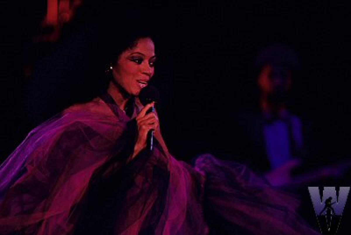 Diana Ross Vintage Concert Photo Fine Art Print From Shoreline