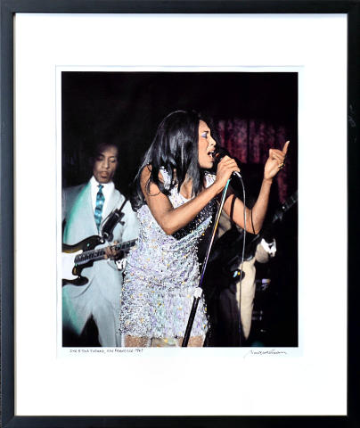 Tina Turner Framed Fine Art Print