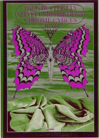 Iron Butterfly Postcard