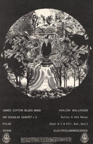 James Cotton Blues Band Poster
