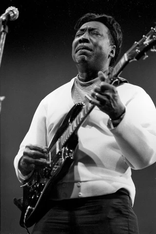 Muddy Waters Vintage Concert Photo Fine Art Print from Festival Field ...