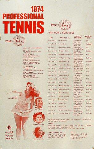 Professional Tennis Poster
