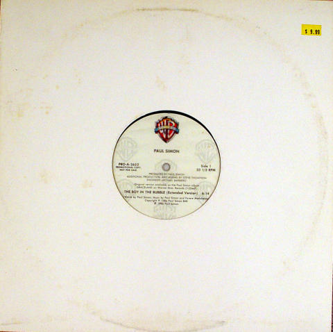 Paul Simon Vinyl 12"