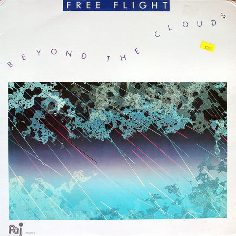 Free Flight Vinyl 12"