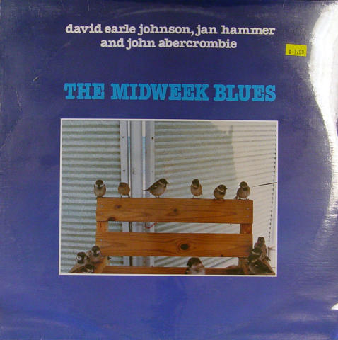 David Earle Johnson Vinyl 12"