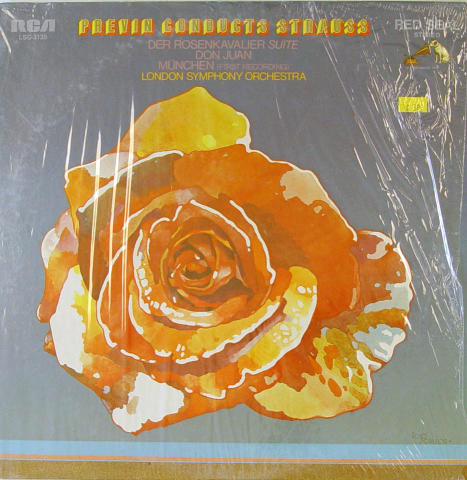 Richard Strauss Vinyl 12"