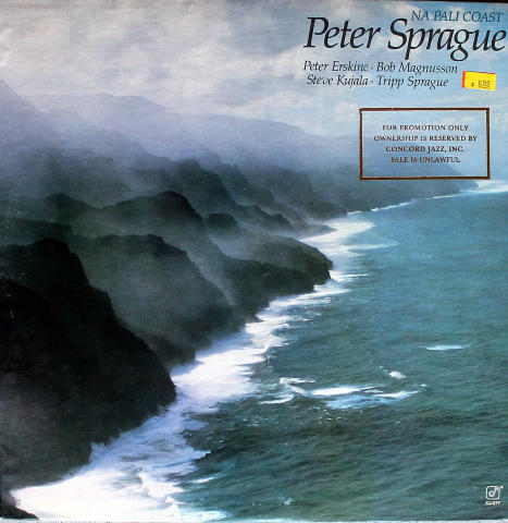 Peter Sprague Vinyl 12"