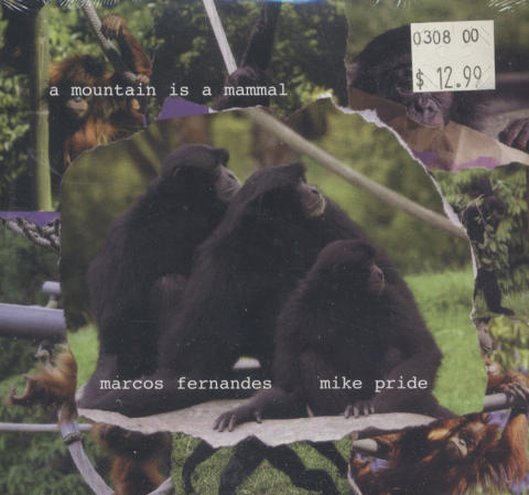 Marcos Fernandes / Mike Pride CD