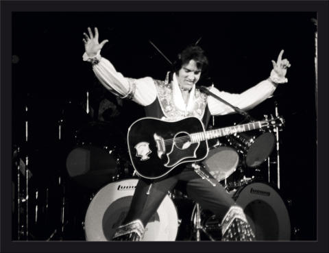 Elvis Presley Photo Poster