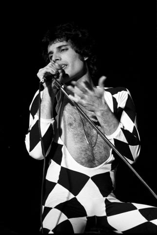 Freddie Mercury Fine Art Print
