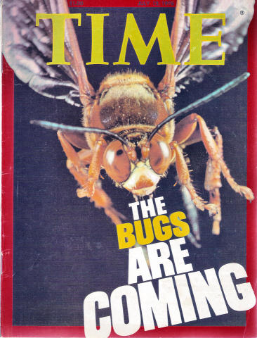 Jet | July 29, 1976 at Wolfgang's