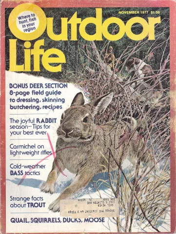 Rabbit Hunting - Outdoor Magazine Covers