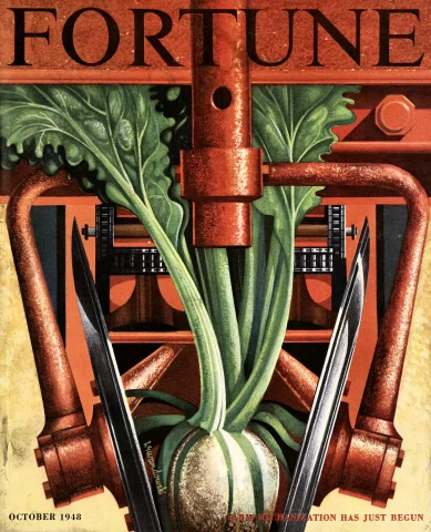 Fortune