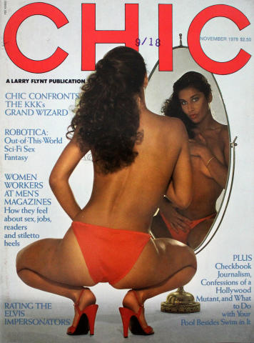 Chic Vintage Adult Magazine