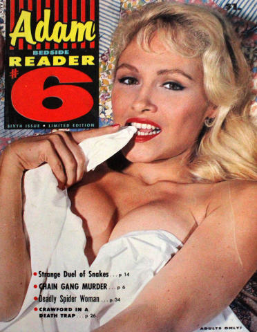 Adam BEDSIDE READER 6 Vintage Adult Magazine