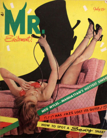Mr. Vol. 1 No. 1 Vintage Adult Magazine
