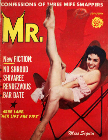 Mr. Vintage Adult Magazine