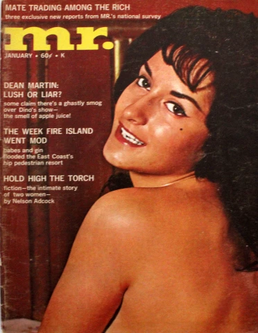 Mr. [Mr. Magazine] (5 vintage adult magazines, 1961-78) | smutsville