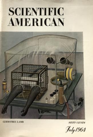 Scientific American