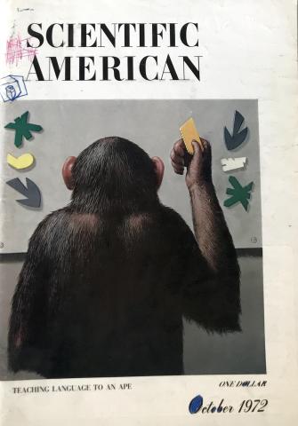 Scientific American