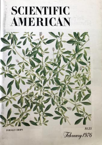 Scientific American