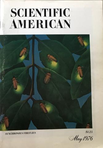 Scientific American