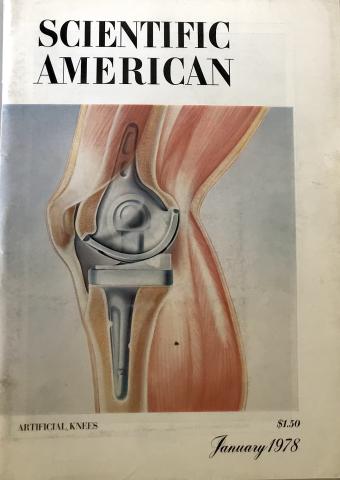 Scientific American