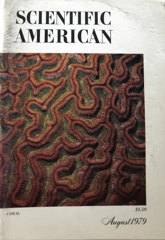 Scientific American