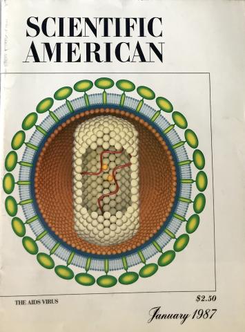 Scientific American