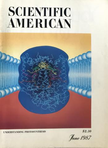 Scientific American