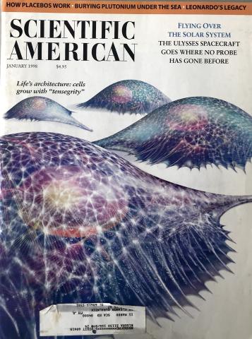 Scientific American