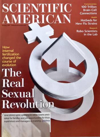 Scientific American