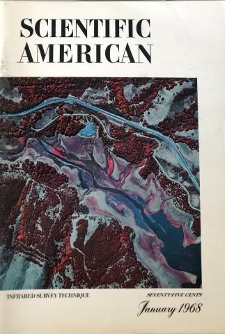 Scientific American