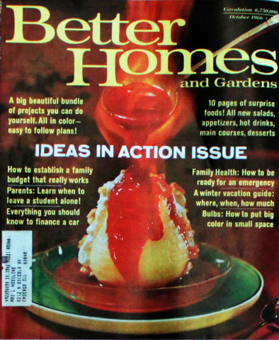 Better Homes And Gardens Ideas In Action Issue