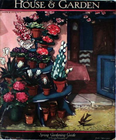 House & Garden