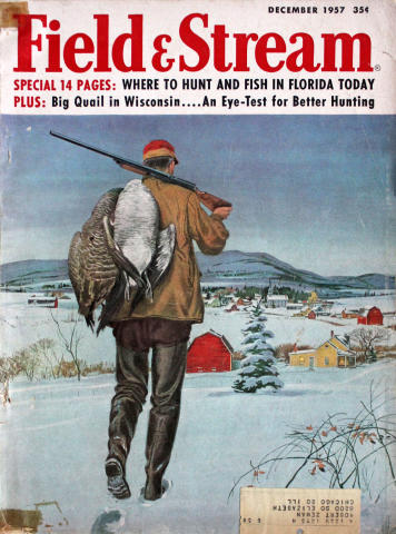 Field & Stream
