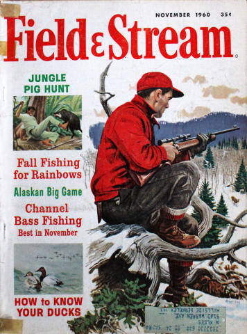 Field & Stream