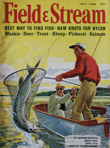 Field & Stream