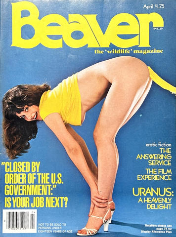 Beaver Vintage Adult Magazine