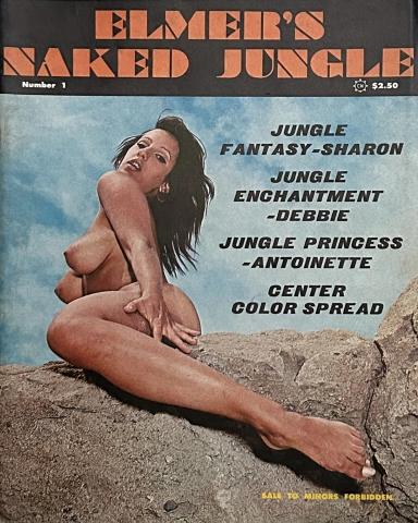 Behangroupchudai - Vintage Porn Magazine Photoshoots | Sex Pictures Pass