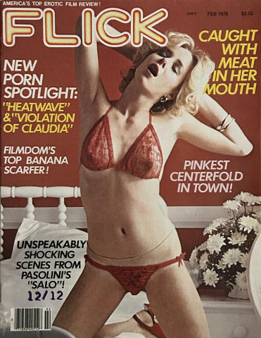 Flick Vintage Adult Magazine