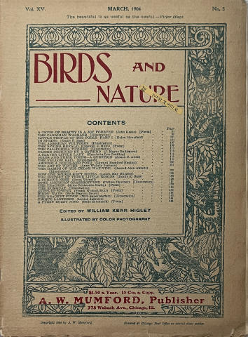 Birds and Nature