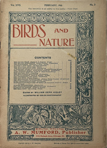 Birds and Nature