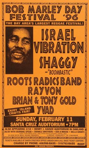 Bob Marley Day Festival Poster