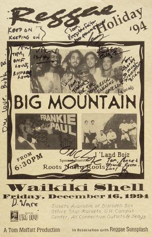 Big Mountain Poster