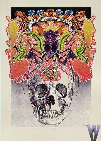 The Skull Postcard