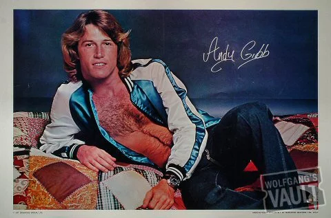 Andy Gibb Vintage Concert Poster, 1977 at Wolfgang's