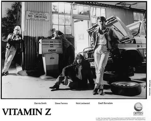 Vitamin Z Promo Print