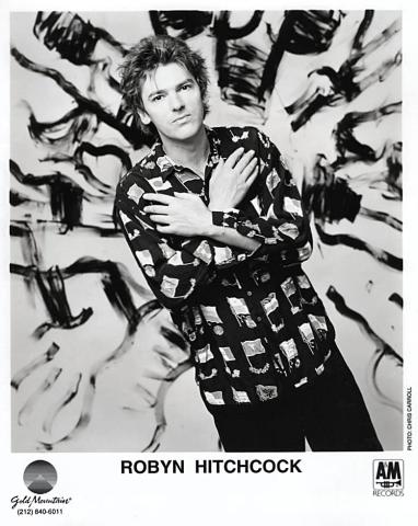 Robyn Hitchcock Promo Print